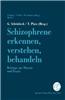 Schizophrene Erkennen, Verstehen, Behandeln: Beitrage Aus Theorie Und Praxis