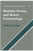 Modular Forms and Galois Cohomology