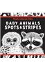Baby Animals Spots and Stripes