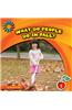 What Do People Do In Fall?