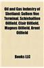 Oil and Gas Industry of Shetland: Sullom Voe Terminal, Schiehallion Oilfield, Clair Oilfield, Magnus Oilfield, Brent Oilfield
