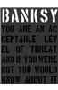 Banksy.: You Are an Acceptable Level of Threat