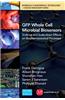 Gfp Whole Cell Microbial Biosensors: Scale-Up and Scale-Down Effects on Biopharmaceutical Processes