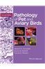 Pathology of Pet and Aviary Birds