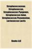 Streptococcaceae: Streptococcus, Streptococcus Pyogenes, Streptococcus Iniae, Streptococcus Pneumoniae, Lactococcus Lactis