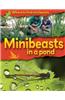 Minibeasts in a Pond