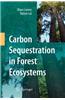 Carbon Sequestration in Forest Ecosystems