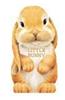 Little Bunny