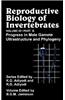 Reproductive Biology of Invertebrates, Progress in Male Gamete Ultrastructure and Phylogeny
