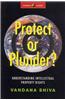 Protect or Plunder?