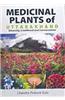 Medicinal Plants of Uttarakhand