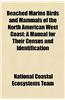 Beached Marine Birds and Mammals of the North American West Coast; A Manual for Their Census and Identification