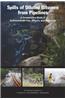 Spills of Diluted Bitumen from Pipelines: A Comparative Study of Environmental Fate, Effects, and Response