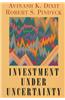 Investment Under Uncertainty