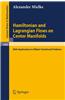 Hamiltonian and Lagrangian Flows on Center Manifolds with Applications to Elliptic Variational Problems