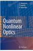 Quantum Nonlinear Optics