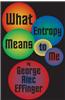 What Entropy Means to Me