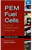 Pem Fuel Cells
