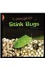 Stink Bugs