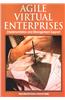 Agile Virtual Enterprises: Implementation and Management Support
