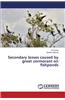 Secondary Losses Caused by Great Cormorant on Fishponds