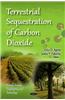 Terrestrial Sequestration of Carbon Dioxide