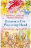Because a Fire Was in My Head