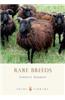 Rare Breeds