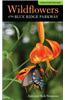Wildflowers of the Blue Ridge Parkway: A Pocket Field Guide