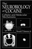 The Neurobiology of Cocaine: Cellular and Molecular Mechanisms