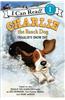 Charlie the Ranch Dog: Charlie's Snow Day