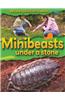 Minibeasts Under a Stone
