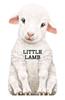 Little Lamb