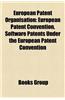 European Patent Organisation: European Patent Convention, Software Patents Under the European Patent Convention