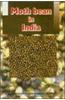 Mothbean in India