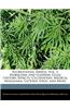 Recreational Drugs, Vol. 1: Marijuana and Hashish, Legal History, Effects, Cultivation, Medical Marijuana, Gateway Drug and More