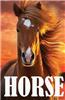 Horse: Password Keeper Book (an Internet Address and Password Journal)