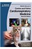 BSAVA Manual of Canine and Feline Cardiorespiratory Medicine