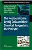 The Neuroendocrine Leydig Cells and Their Stem Cell Progenitors, the Pericytes