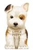 Little Puppy