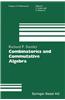 Combinatorics and Commutative Algebra
