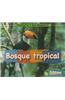 Bosque Tropical = Rain Forest