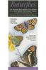 Butterflies of Texas Big Bend Country: A Guide to Common and Notable Species