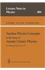 Nuclear Physics Concepts in the Study of Atomic Cluster Physics