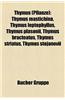 Thymus (Pflanze): Thymus Mastichina, Thymus Leptophyllus, Thymus Plasonii, Thymus Bracteatus, Thymus Striatus, Thymus Stojanovii
