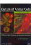 Culture of Animal Cells: A Manual of Basic Technique and Specialized Applications