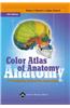 Color Atlas of Anatomy