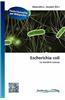 Escherichia Coli