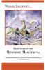 Michael Swanwick's Field Guide to the Mesozoic Megafauna
