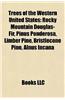 Trees of the Western United States: Rocky Mountain Douglas-Fir, Pseudotsuga Menziesii, Lodgepole Pine, Pinus Ponderosa, Tsuga Mertensiana